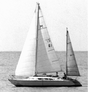 Akoona